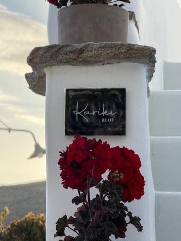 Et logo, certifikat, skilt eller en pris der bliver vist frem på Kariki Blue Triantaros-Tinos