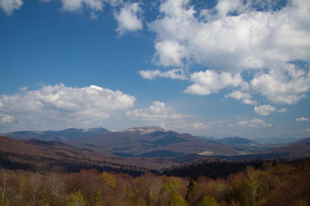 a view of a valley with mountains and clouds at Ośrodek Górskiej Turystyki Jeździeckiej POŁONINY in Żubracze