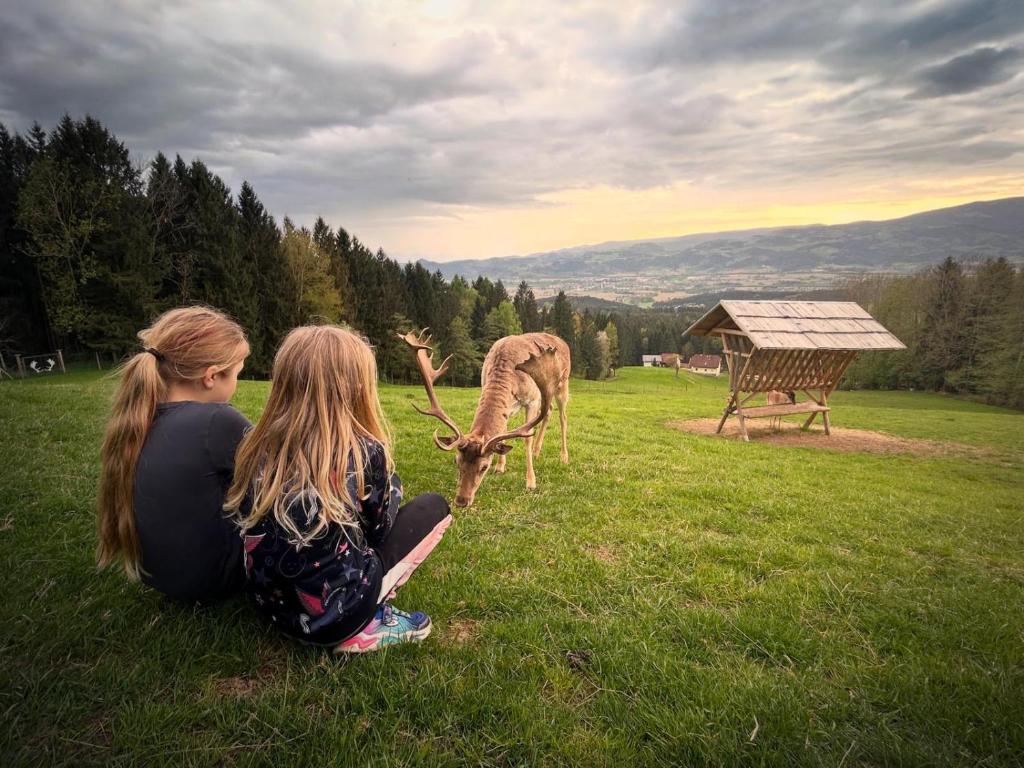 Zvířata v apartmánu nebo okolí
