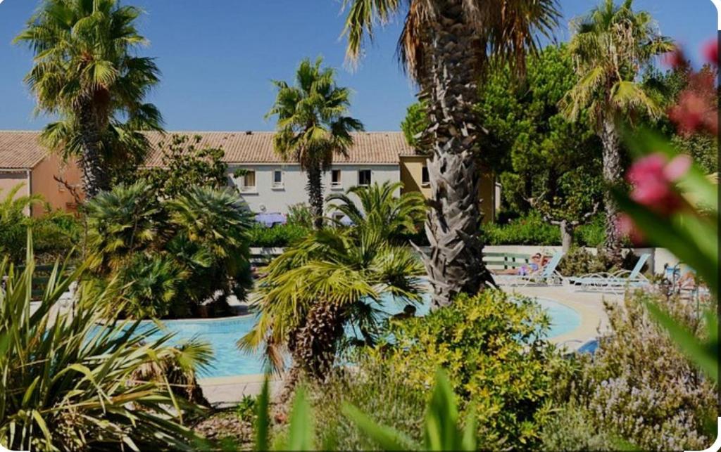 un complexe avec piscine et palmiers dans l'établissement Diste pavillon, à Vendres