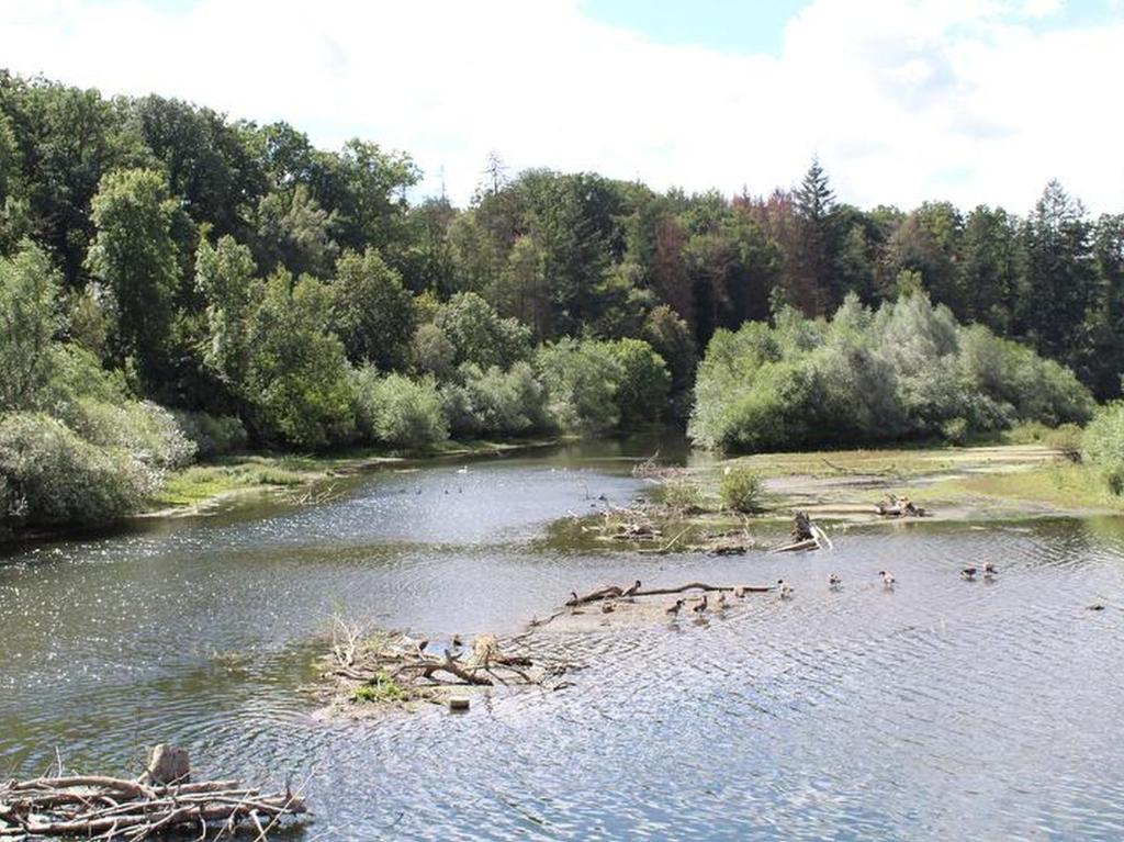 Příroda nedaleko apartmánu