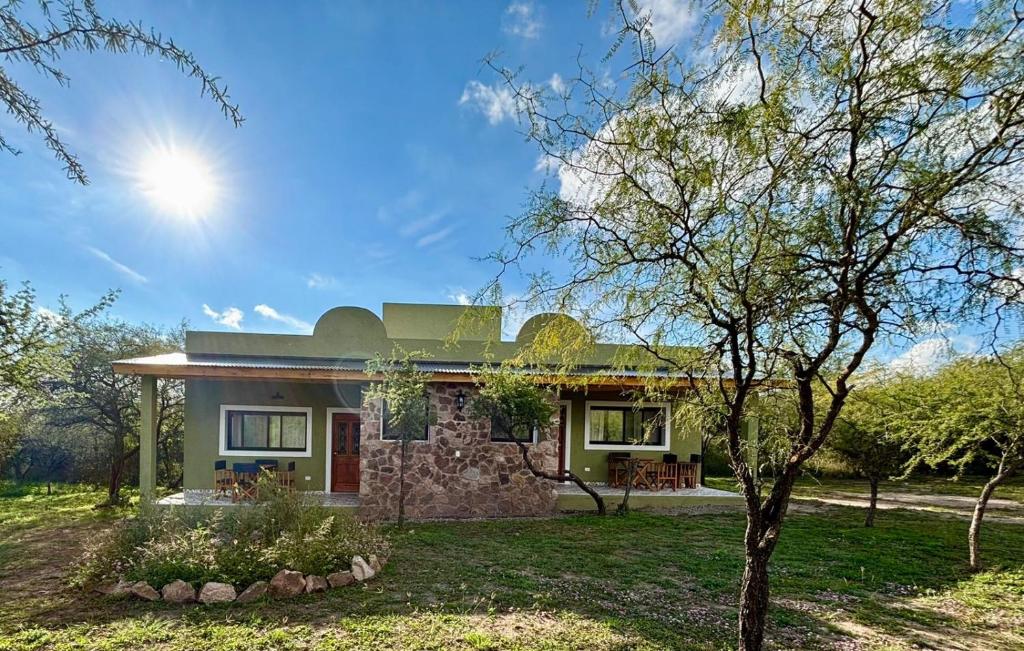 een groen huis met een boom ervoor bij La Corrida hospedaje in San Javier