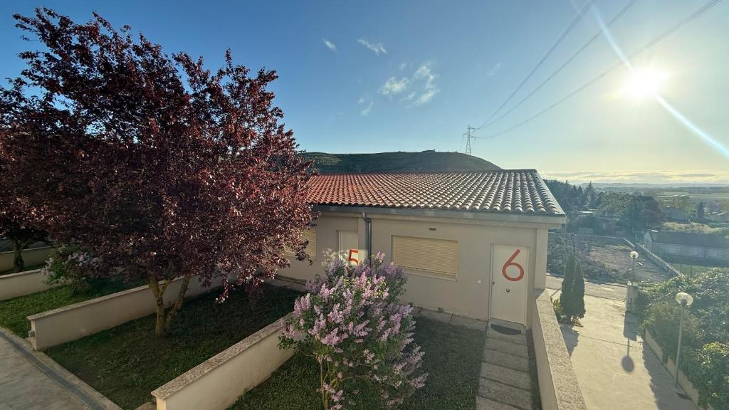 Příroda nedaleko aparthotelu