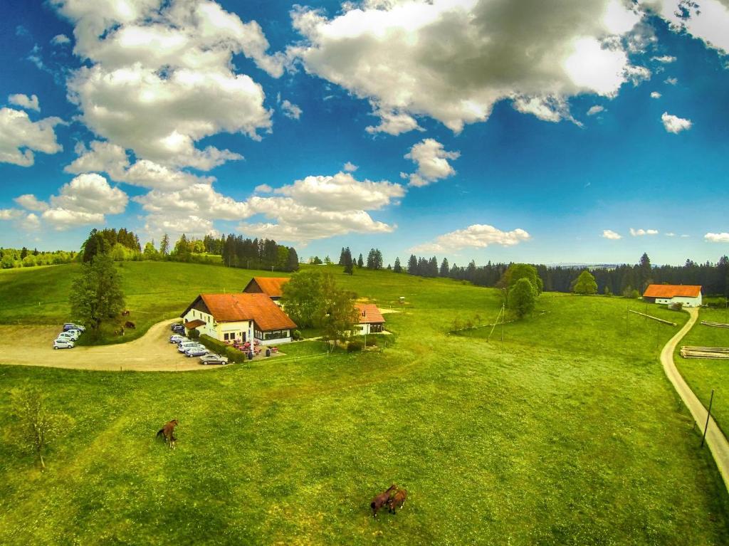 Příroda nedaleko bed and breakfast