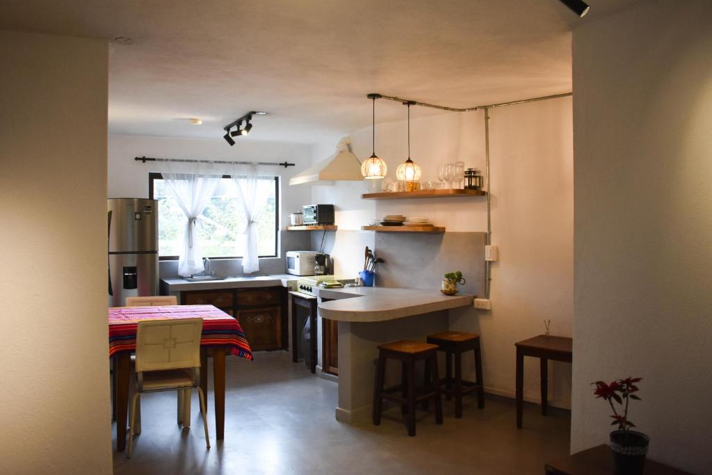 Kuchyň nebo kuchyňský kout v ubytování Apartamentos Otorongo Cuenca Ecuador
