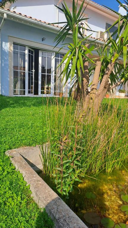 a house with a palm tree in the yard at Varanda de Coimbra in Penacova