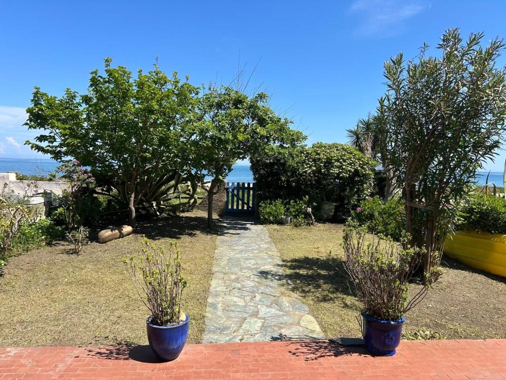 un jardin avec deux plantes en pot et des arbres et l'océan dans l'établissement Maison sur la plage, à Folelli
