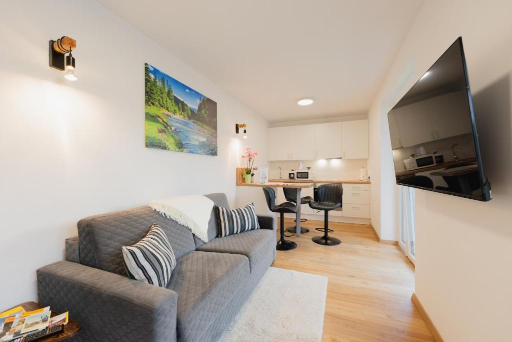 Austrian Apartments - 1