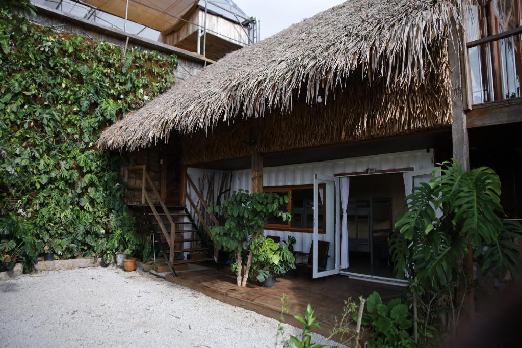 Upes Garden Homestay Bien Ho - 4-Bed Mixed Dormitory Room