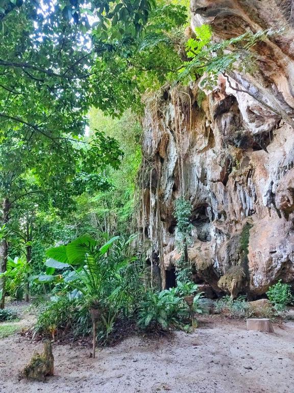 a large rock wall with trees and plants at Spirit Mountain in Ban Nong Thale