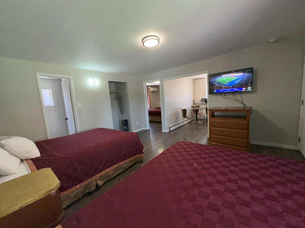 TV a/nebo společenská místnost v ubytování Alpine Inn & Spa