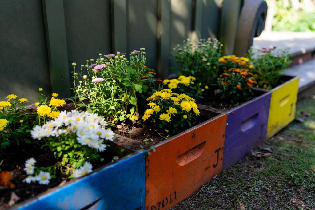 The Funky Escape at The Nest Waihi Beach - Resim 17