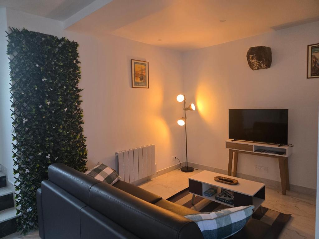TV a/nebo společenská místnost v ubytování maison à frehel