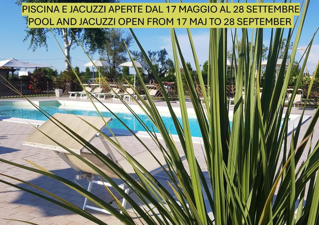 Bazén v ubytování Agriturismo B&B Vista Parco nebo v jeho okolí