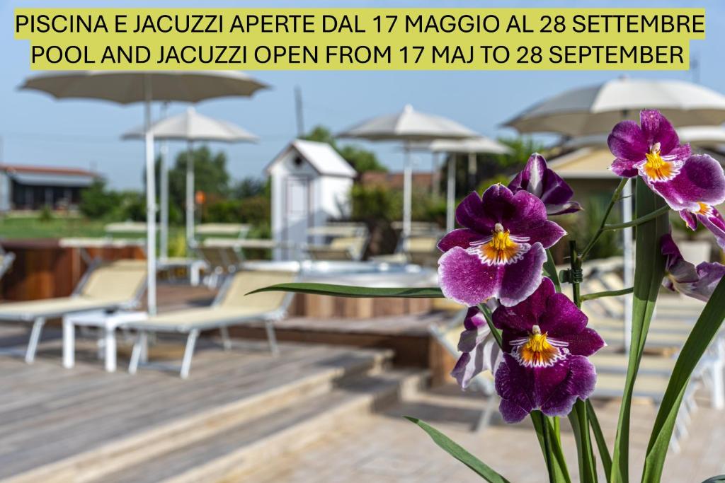 Fotografie z fotogalerie ubytování Agriturismo B&B Vista Parco v destinaci Savio di Ravenna