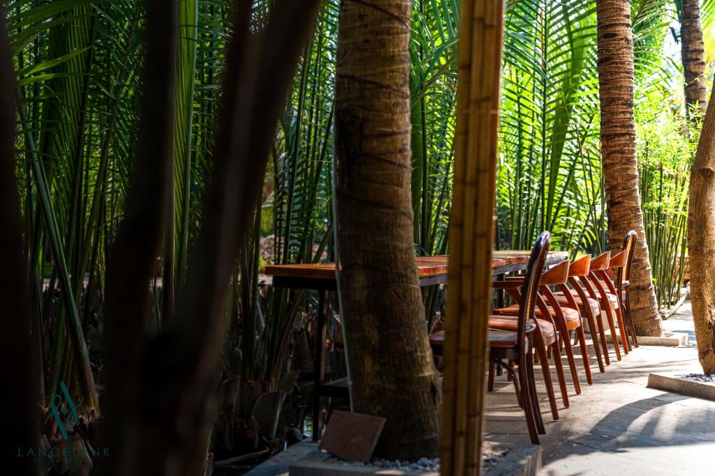 Zahrada ubytování The Lancelynk Boutique & Pool - Bar Hoi An