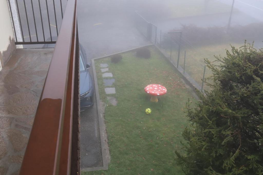Zahrada ubytování VULCANO Case Vacanza