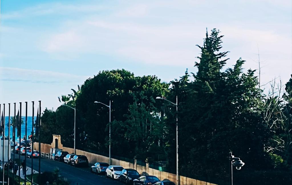 une rue avec des voitures garées sur le bord d'une route dans l'établissement Nice Family Apartement, à Nice