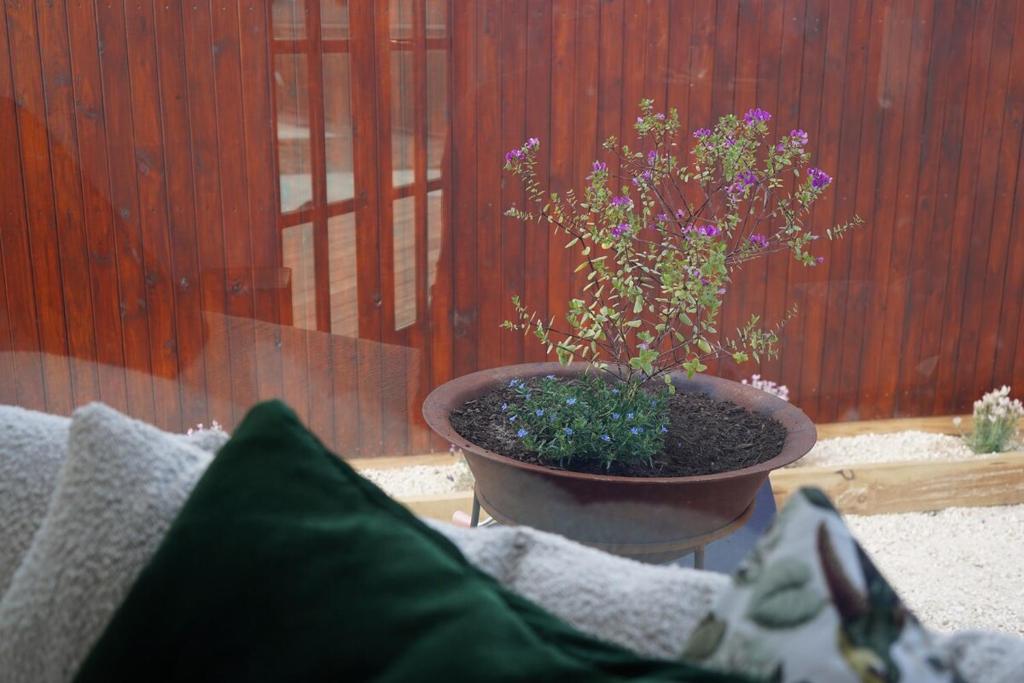 Giardino di Folktales Rest - Tiny House Unique Stay