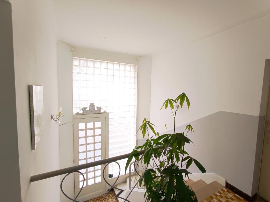 ein Zimmer mit einer Pflanze vor einem Fenster in der Unterkunft Chambre SIGOU in Sigoulès
