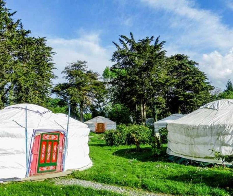 Zahrada ubytování Camping 1 étoile - ccaegif