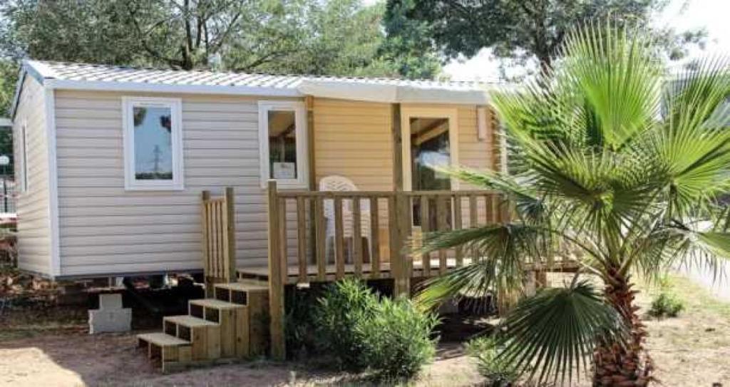 une petite maison avec une terrasse en bois et un palmier dans l'établissement Camping 3 étoiles - Parc aquatique - eecegi, à Fréjus
