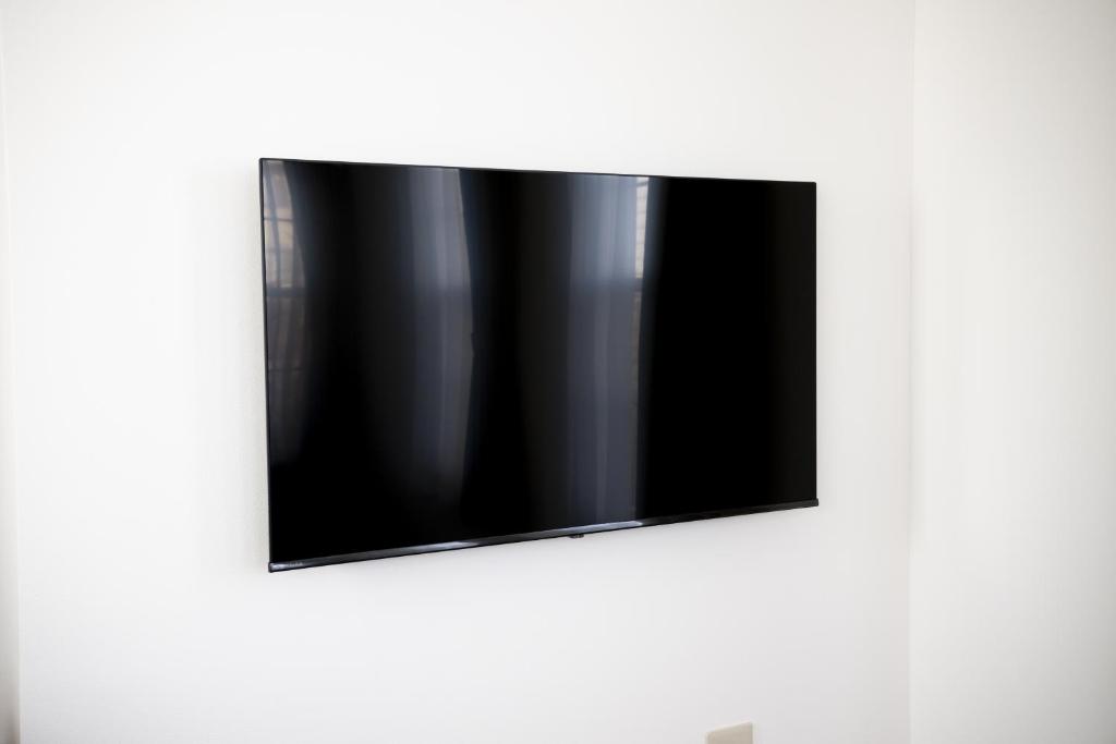 TV a/nebo společenská místnost v ubytování インザ富士