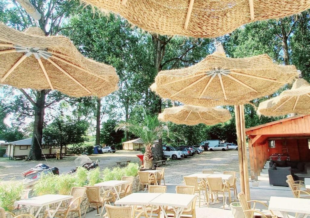 Zahrada ubytování Camping Bois et Toilés