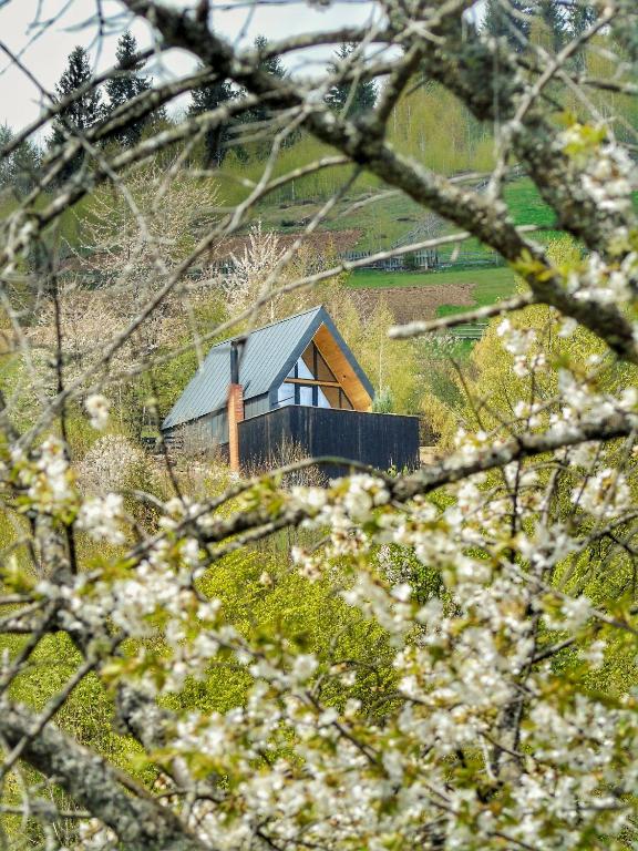 a small cabin on top of a hill with flowers at Casa Aristocrată - La noi la munte in Mătişeşti