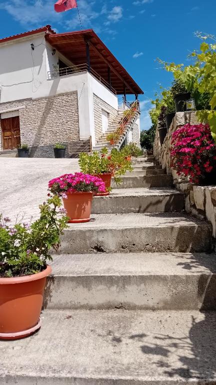 Fotografie z fotogalerie ubytování Villa Rexho v destinaci Berat