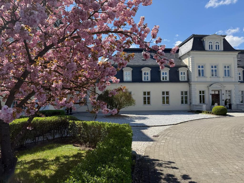 Zahrada ubytování THERESET Schloss Groß Plasten