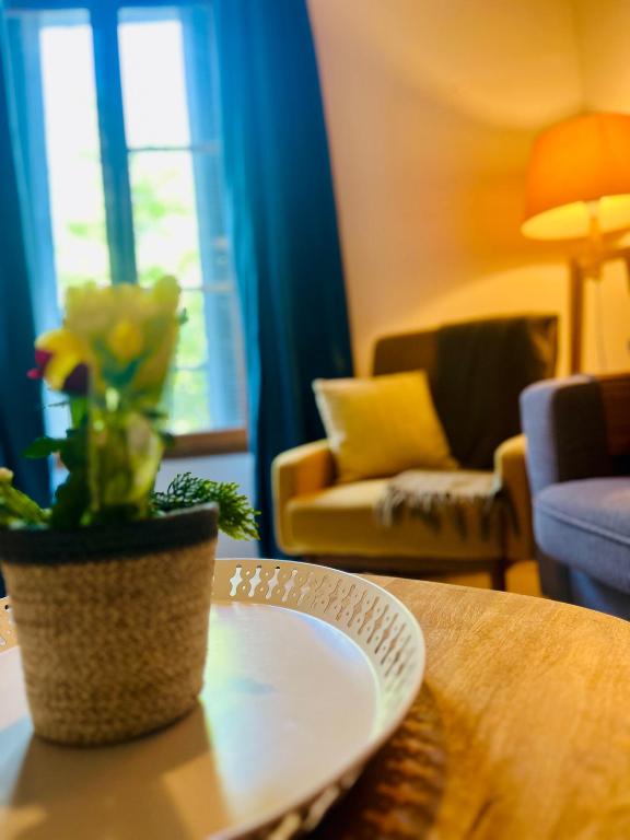 une table avec une plaque recouverte d'une plante dans l'établissement Côté Arènes, à Nîmes