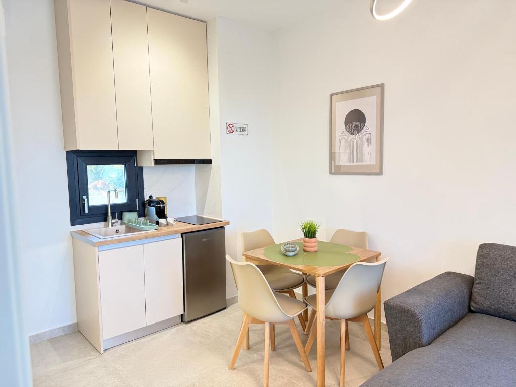 Kuchyň nebo kuchyňský kout v ubytování Malka Premium Suites