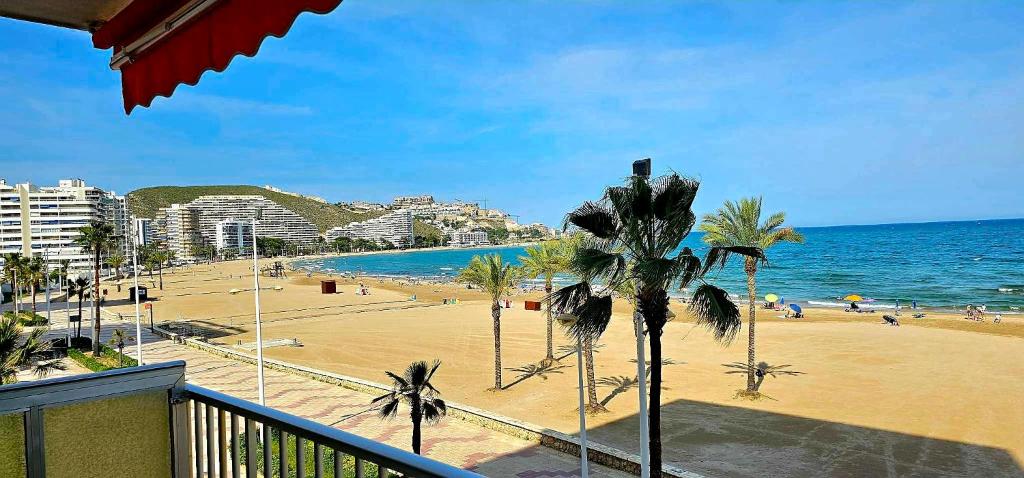 a view of a beach with palm trees and the ocean at Beach view apartment in Cullera in Cullera