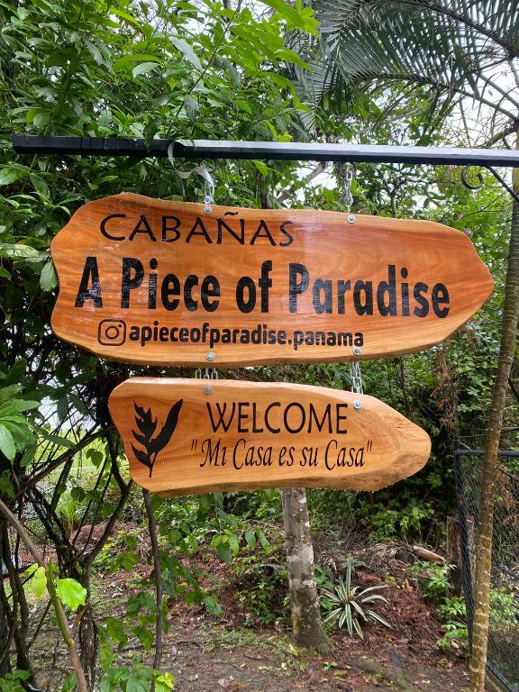 Certifikát, hodnocení, plakát nebo jiný dokument vystavený v ubytování A Piece of Paradise