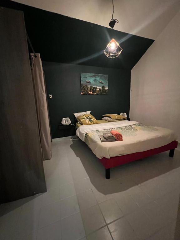 Una cama o camas en una habitación de APPART SPA 20 MIN port croisière et aéroport