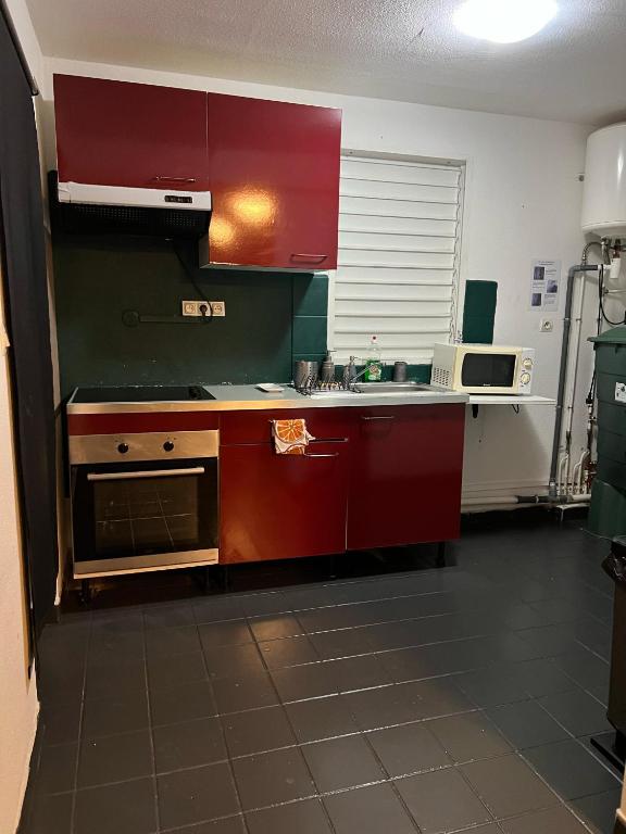 Una cocina o cocineta en APPART SPA 20 MIN port croisière et aéroport