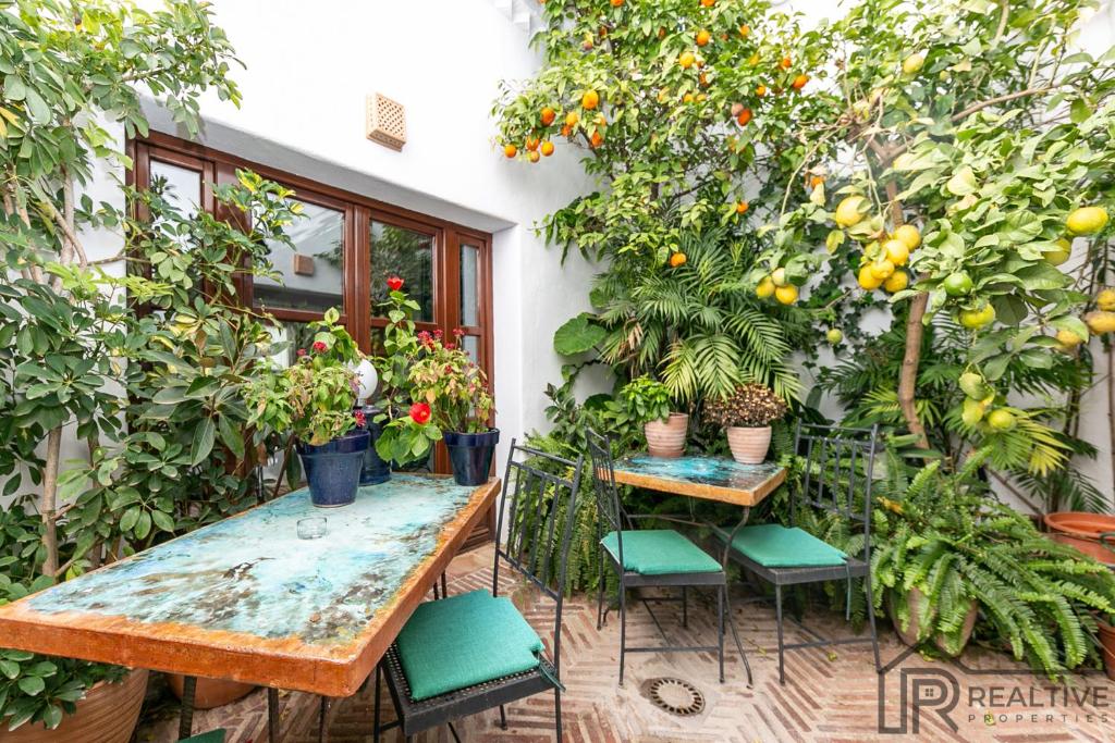 La Casa de la Iglesia - 5