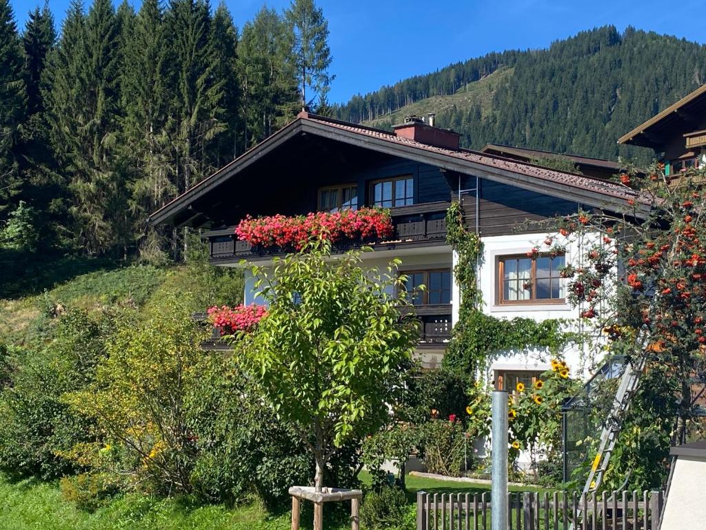 Príroda v okolí apartmánu