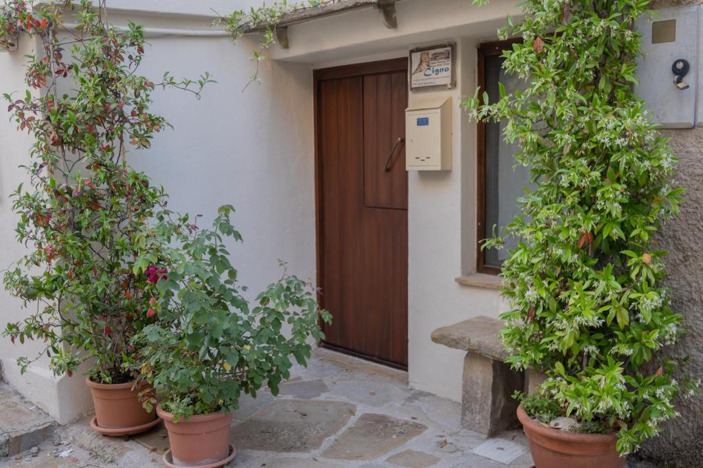 Zahrada ubytování B&B Dimora Cigno
