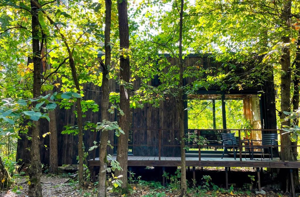 una casa en el bosque con terraza en Carthome - wyjątkowe miejsce leśnego wypoczynku, en Zynie