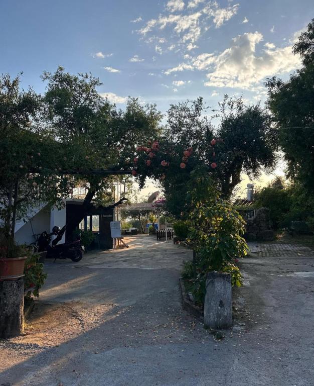 امکانات İstanbul pansiyon side - تصویر ۴
