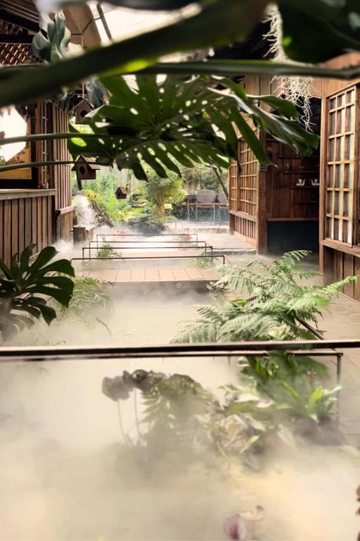 Zahrada ubytování Thỏ Non Garden - Bảo Lộc Center 02