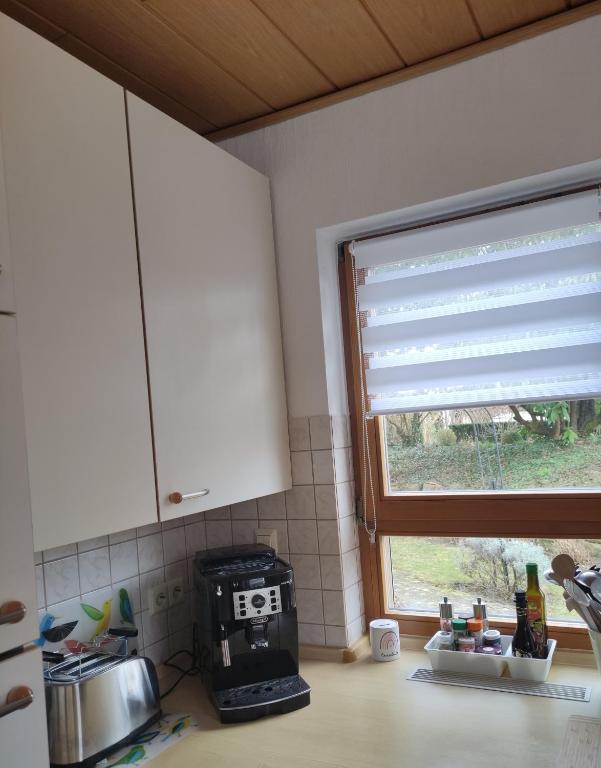 Kuchyň nebo kuchyňský kout v ubytování Ferienwohnung Annabelle