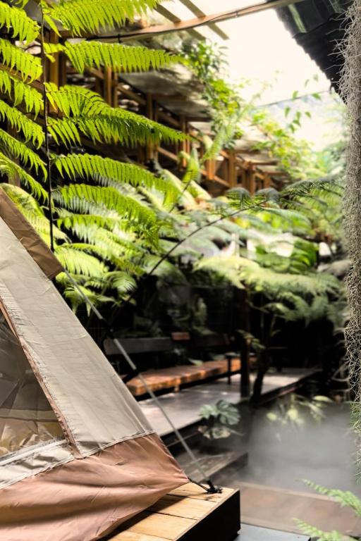 Zahrada ubytování Thỏ Non Garden - Bảo Lộc Center 02