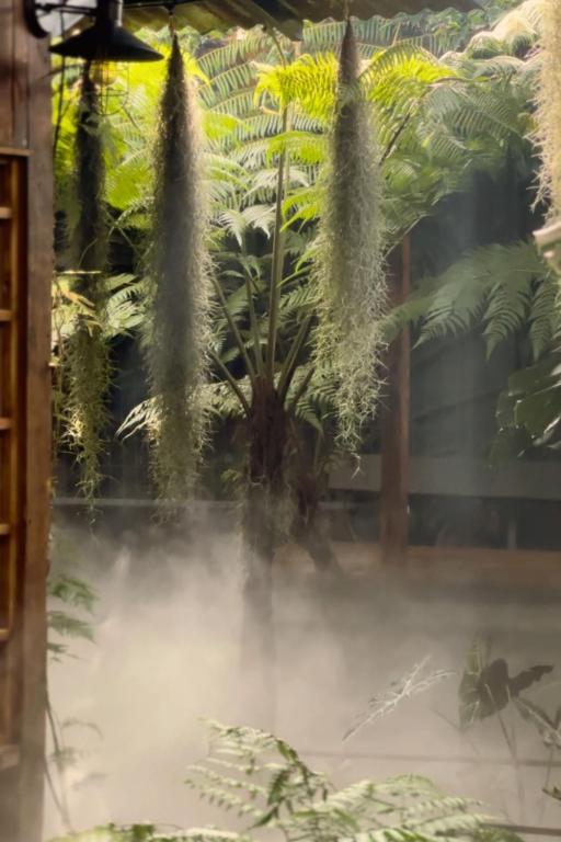 Zahrada ubytování Thỏ Non Garden - Bảo Lộc Center 02