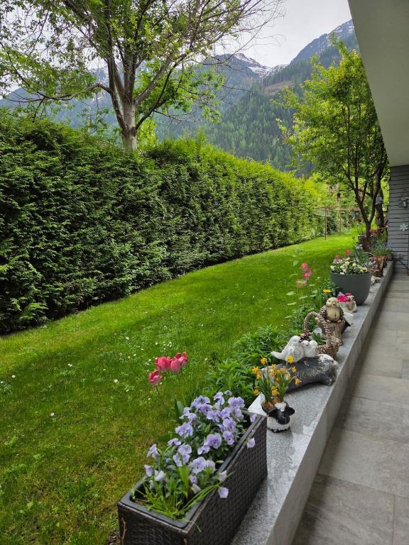 Zahrada ubytování Haus Jassy