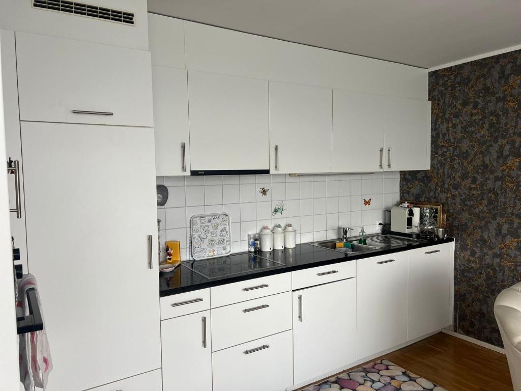 Elegante Wohnung in Basel, direkt am Messeplatz - Resim 3