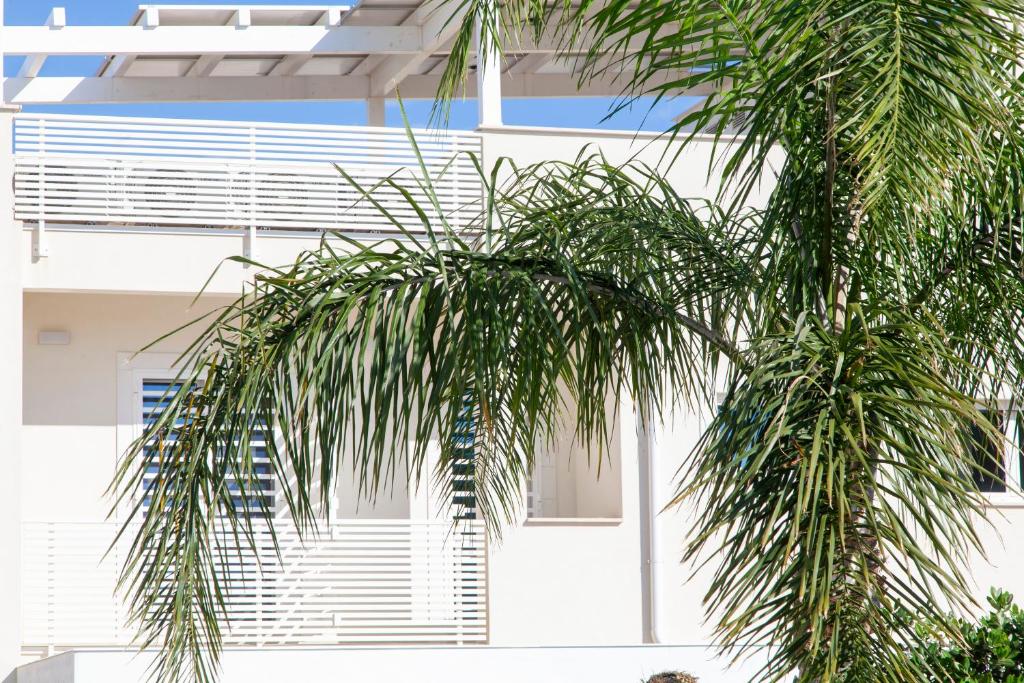 a palm tree in front of a white building at Dimora Nesea in Cozze