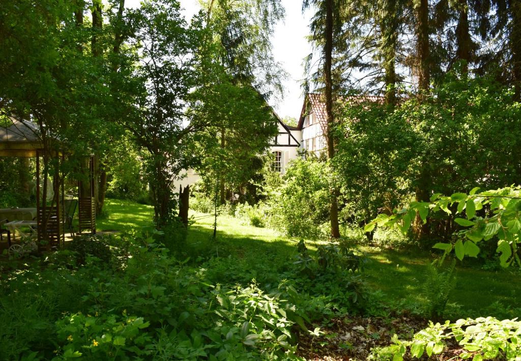 Zahrada ubytování Landhaus Bornemann